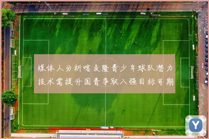 媒体人分析喀麦隆青少年球队潜力技术需提升国青争取八强目标可期