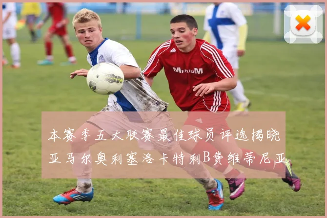 本赛季五大联赛最佳球员评选揭晓亚马尔奥利塞洛卡特利B费维蒂尼亚入围